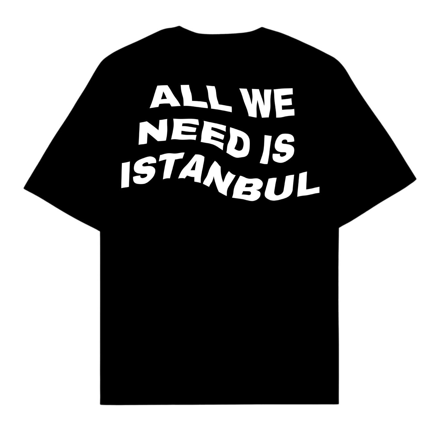 ALL WE NEED IS ISTANBUL