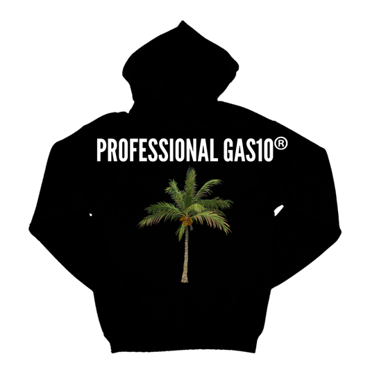PROFESSIONAL GAS10