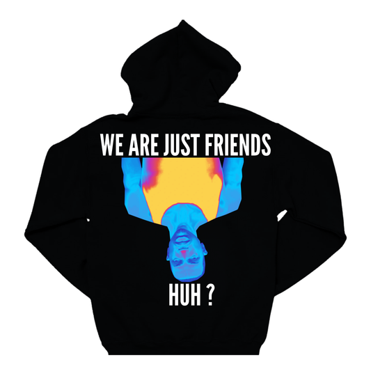 WE ARE JUST FRIENDS